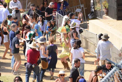 DSC_2106 (Large).JPG